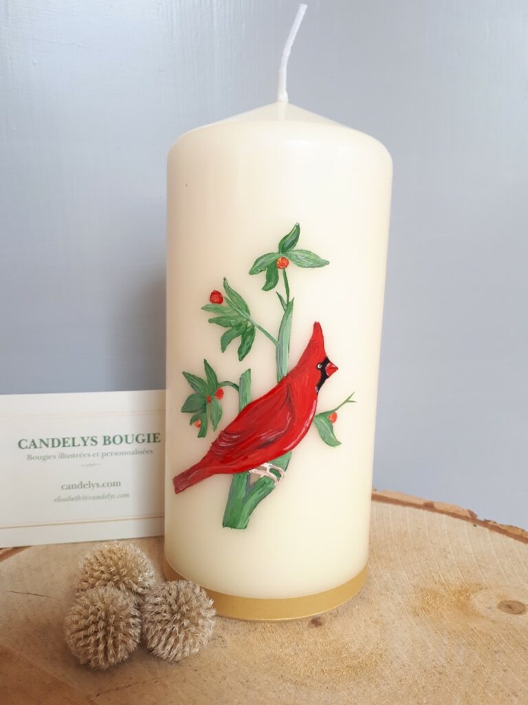 Cardinal Mâle