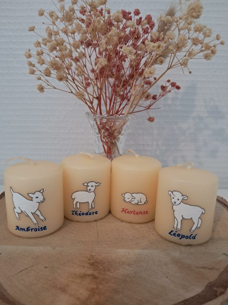 Petits Moutons de crèche